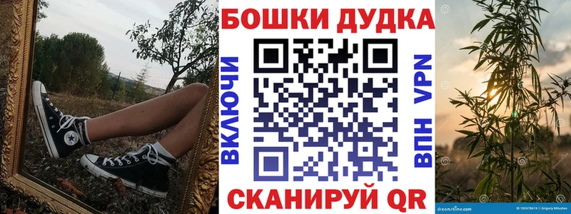 Бошки марихуана сатива  Купить закладки  Луховицы 